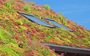 Shurnock living roof systems