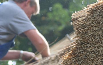 professional Shurnock thatchers